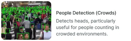 Lumeo Crowd people detection AI model